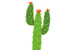 Soft_Toys_Center_cactus